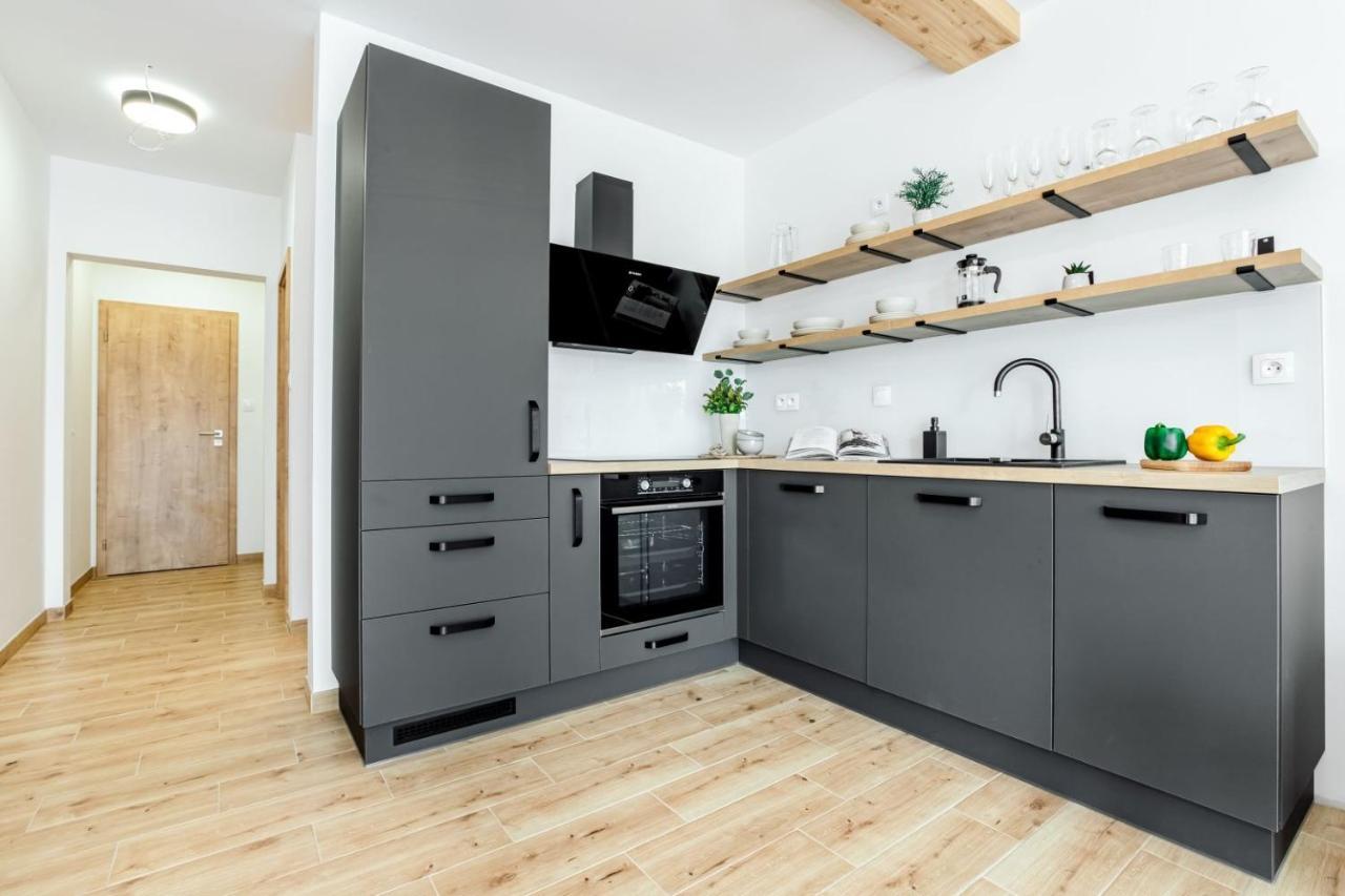 Apartmany Karlovy Dvory Horni Plana Exterior photo